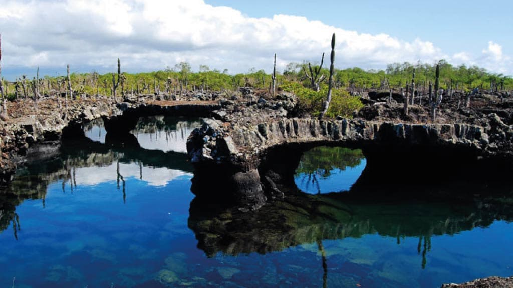 Los Túneles (Isabela)