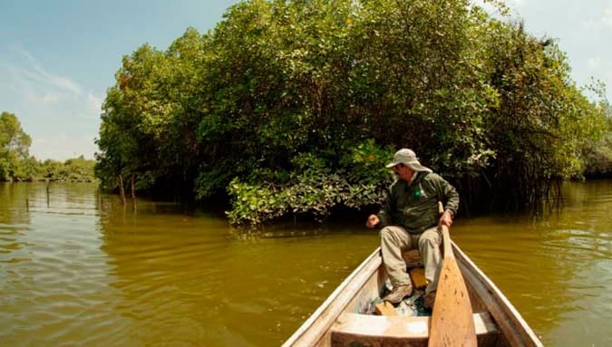 Manglares de Churute