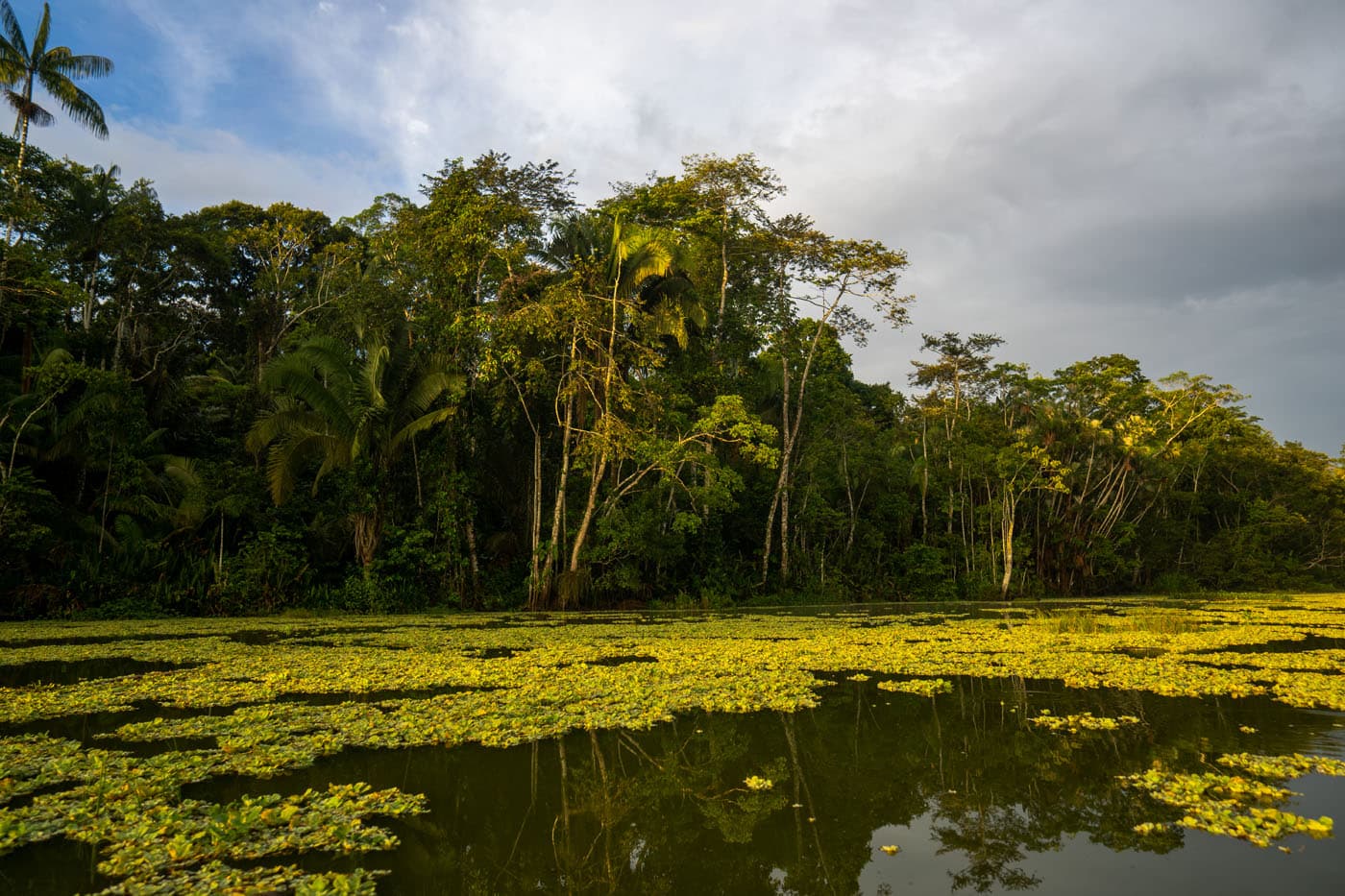 Reserva Biológica Limoncocha