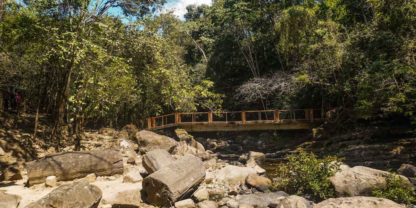 Bosque Petrificado de Puyango