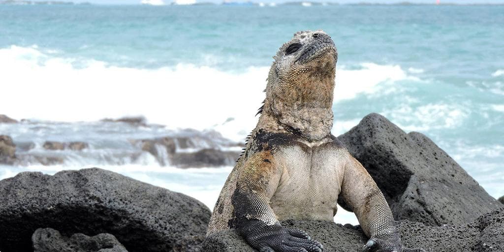 Galápagos Mágico & Aventura